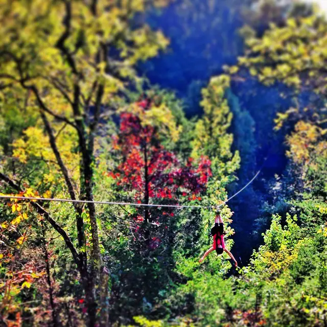 October in the Smokies: The Best Time to Zipline with Wahoo