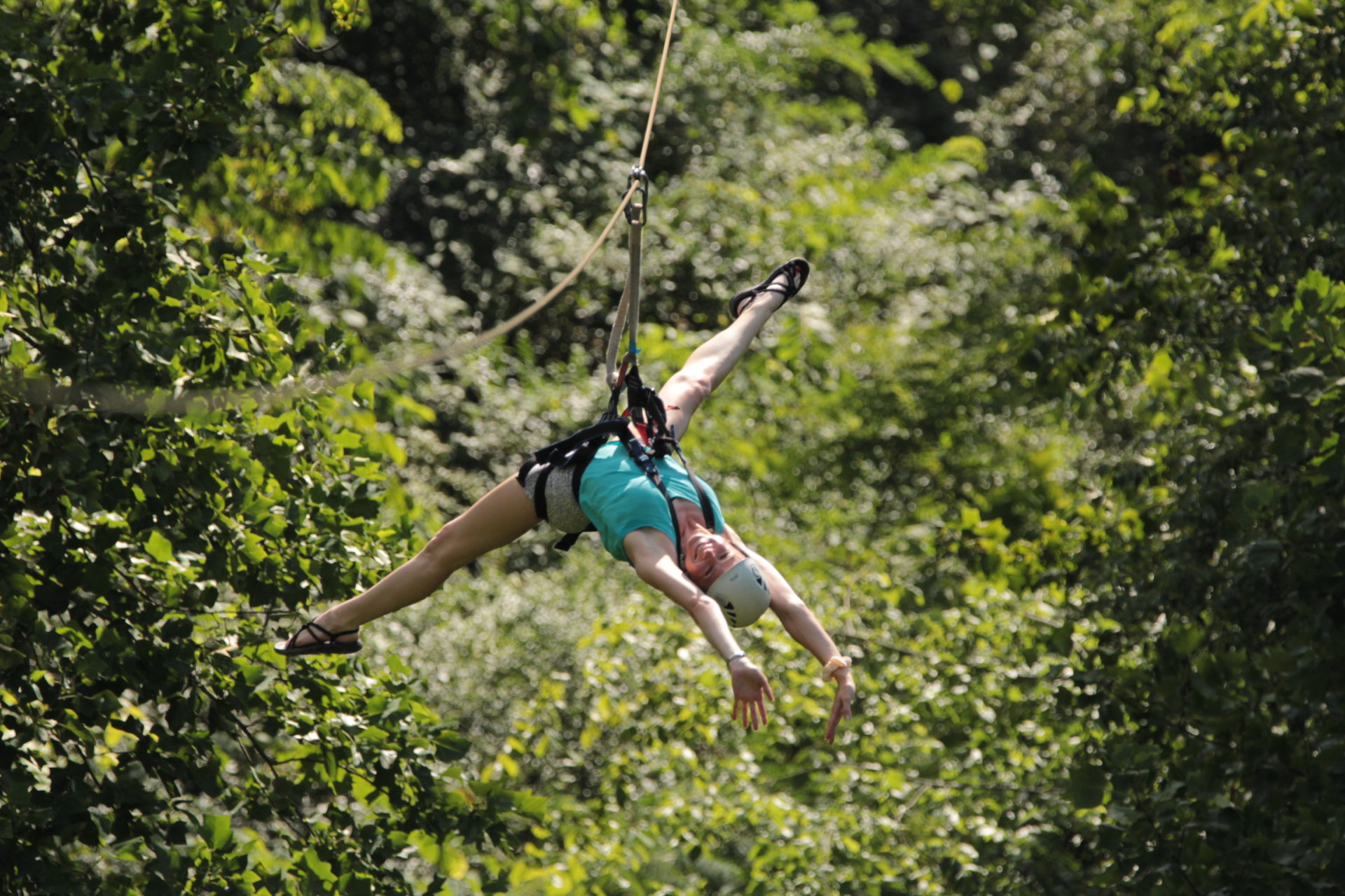 The 2-Mile Zipline Canopy Tour Near Gatlinburg & Pigeon Forge